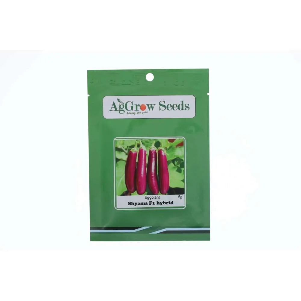 AgGrow Eggplant Seeds Shyama F1 Hybrid 5g