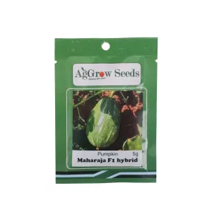 AgGrow Pumpkin Seeds Maharaja 5g