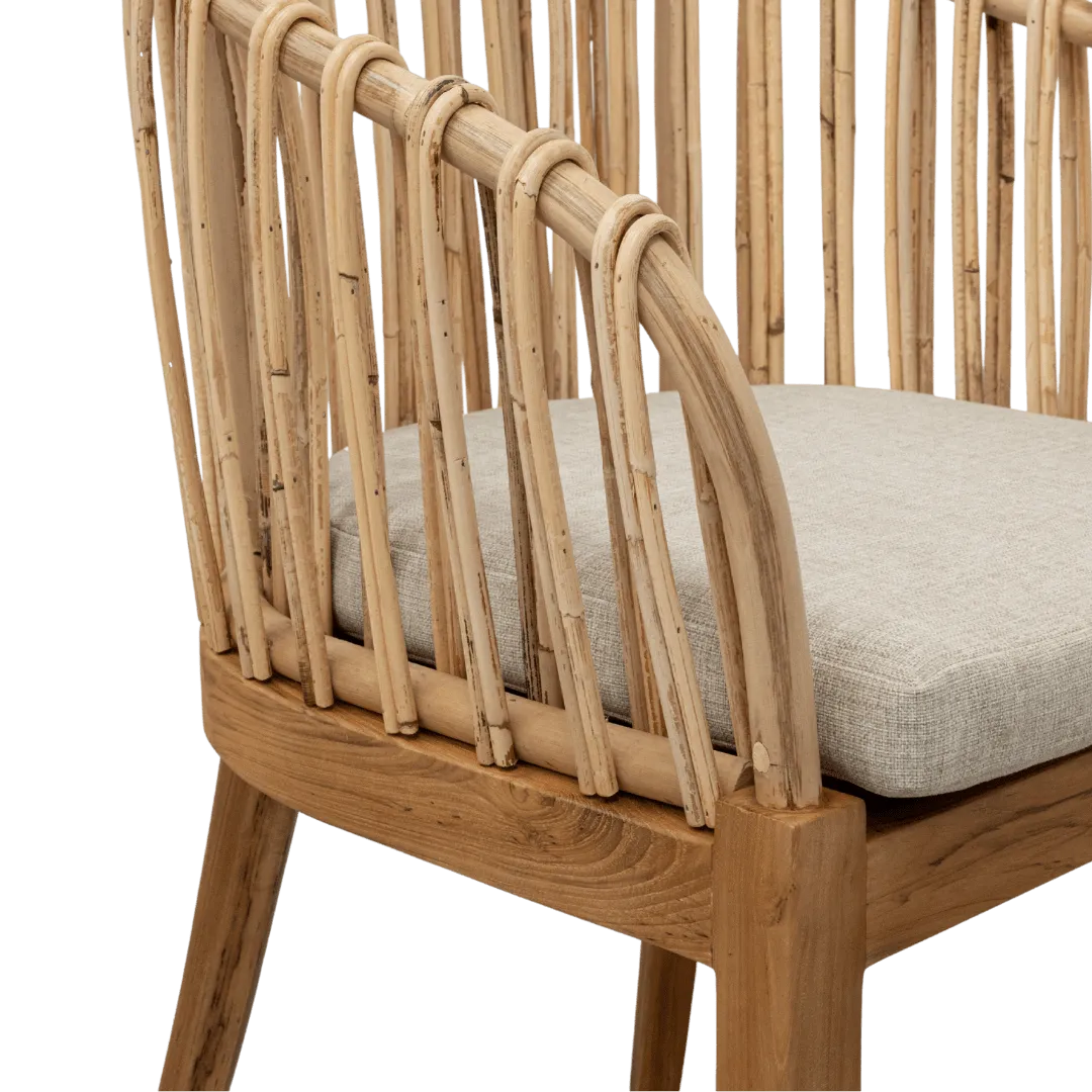 Amara Dining Chair Zoco Home