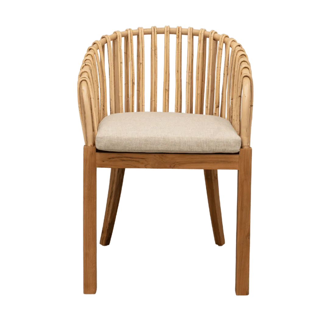 Amara Dining Chair Zoco Home