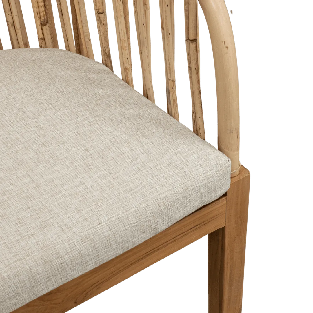 Amara Dining Chair Zoco Home