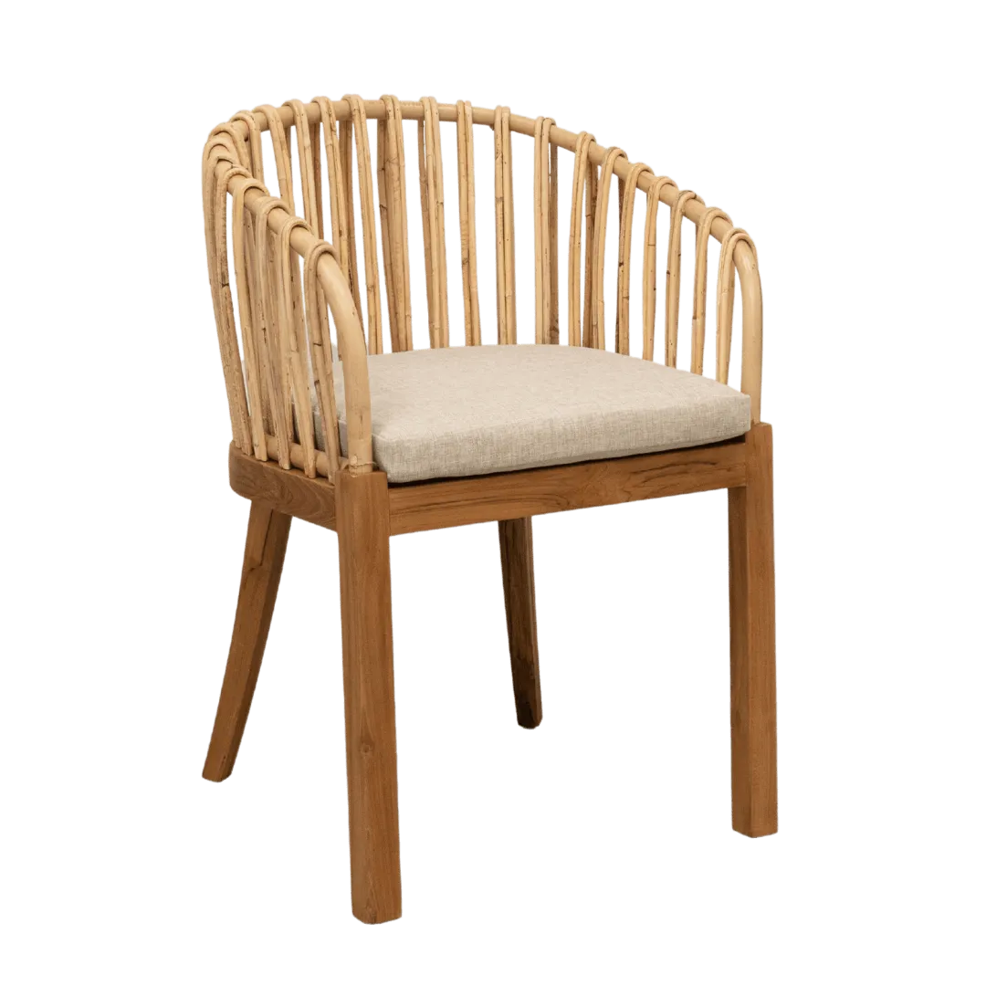 Amara Dining Chair Zoco Home