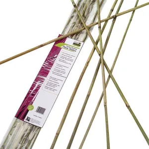 Gardners Blue Ribbon Bamboo Plant Stake 6ft (6pc)