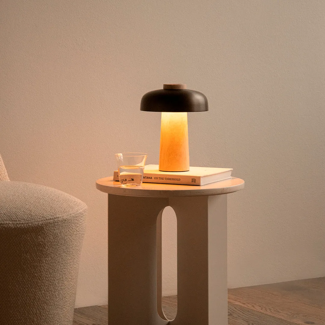 Reverse Portable Table Lamp