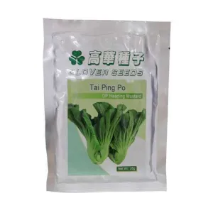 Seeds Mustard Cabbage Tai Ping Po 25g