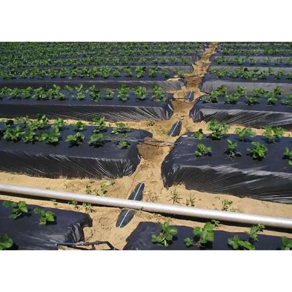 Weeding Mat 0.5 x 50m