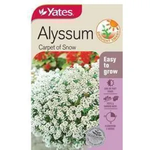 Yates Seeds Alyssum Carpet of Snow